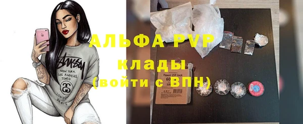 шишки Алзамай