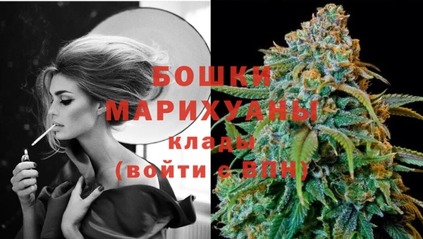 шишки Алзамай